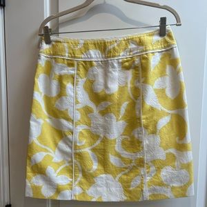 Ann Taylor skirt size 6